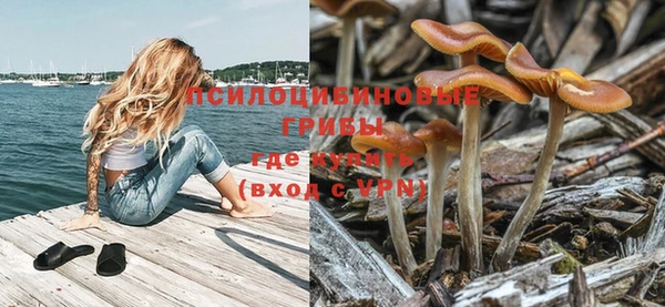 PSILOCYBIN Баксан