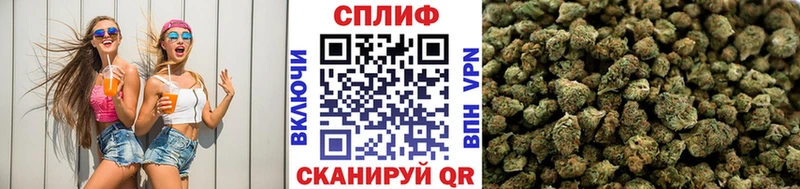 кракен зеркало  Городище  Каннабис тримм 